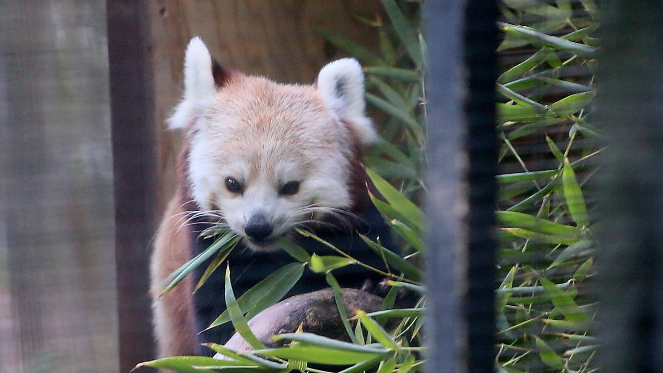 Zoo tax won Tucson's metro core, failed at city's edges